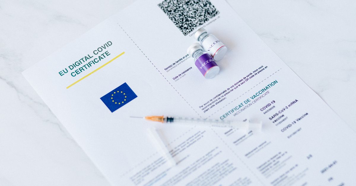 découvrez tout ce qu'il faut savoir sur le certificat madelin, un dispositif essentiel pour optimiser votre retraite et votre fiscalité en tant que travailleur indépendant.